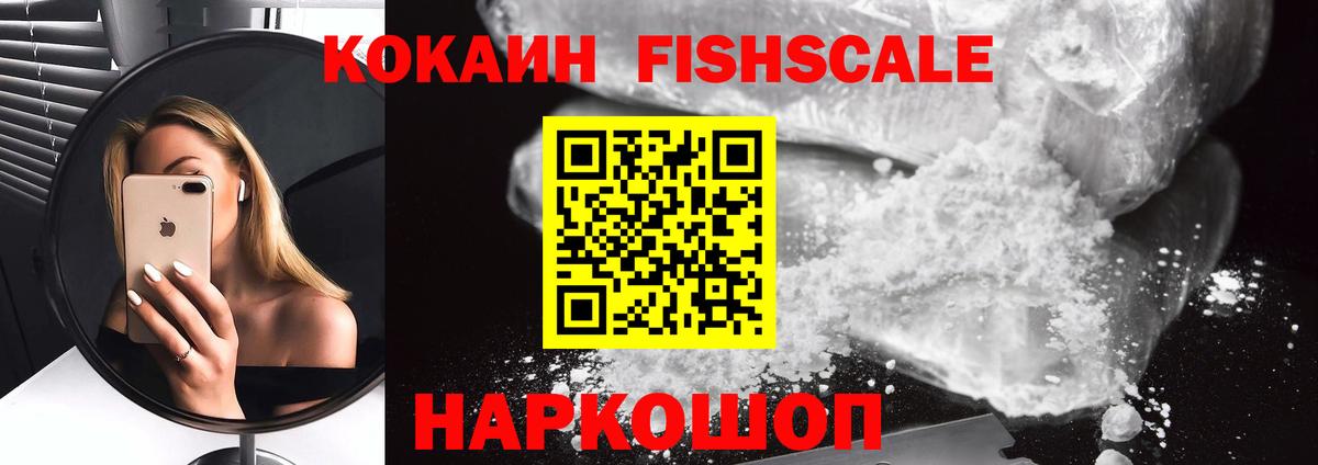 продажа наркотиков  Вход с VPN  Кокаин Колумбийский  Камышлов  Cocaine Боливия 