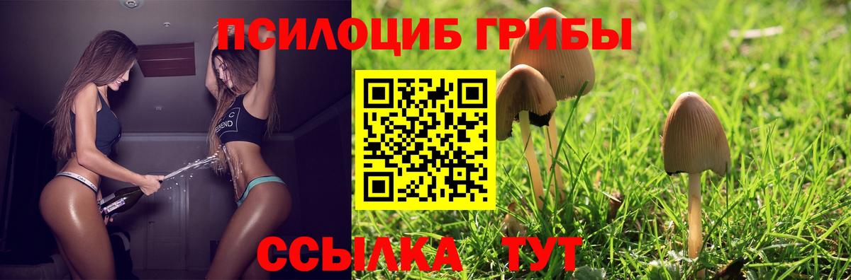 Псилоцибиновые грибы MAGIC MUSHROOMS  Псилоцибиновые грибы мицелий  Вход с VPN  купить наркоту  Камышлов 